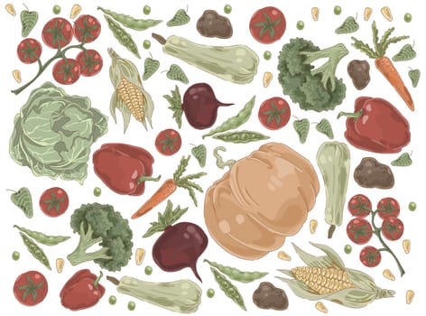 Natural vegetables, pumpkin, cabbage, tomatoes, paprika, broccoli, corn, carrot, beetroot, potatoes, organic nutrition set. Farm food, seasonal harvest concept cartoon sketch. Flat vector illustration