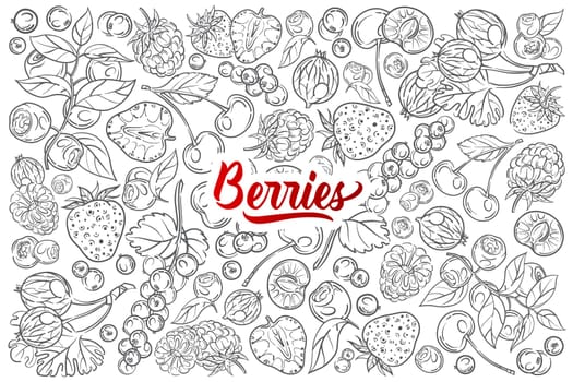 Hand drawn different berries. Cherry, strawberry, raspberry, blackberry etc doodle set background