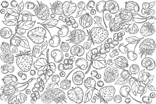 Hand drawn different berries. Cherry, strawberry, raspberry, blackberry etc doodle set background