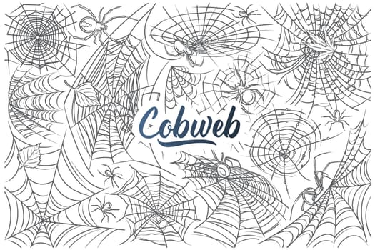 Hand drawn spider and web. Cobweb and spider, symbols of horror danger doodle set background