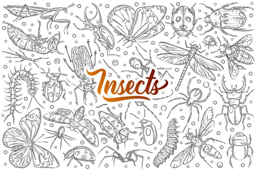 Hand drawn insects ant and butterfly. Dragonfly and beetle, spider and ladybug, mantis and lavra doodle set background