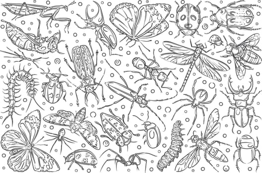 Hand drawn insects ant and butterfly. Dragonfly and beetle, spider and ladybug, mantis and lavra doodle set background