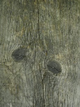 old weathered cracked wood surface with knots