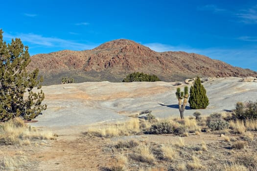 Seared Rocks and Mountains in the Desert in tHe Mojave National Preserve in California