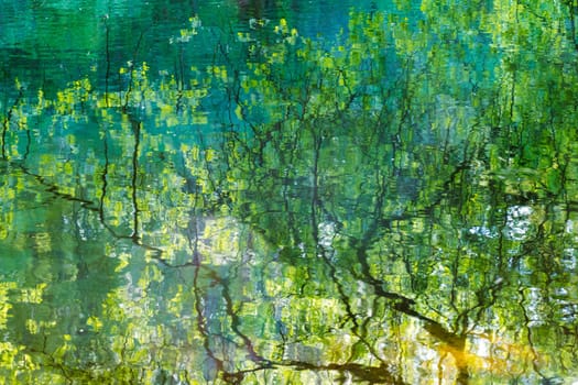 Reflection of tree branches in the lake water
