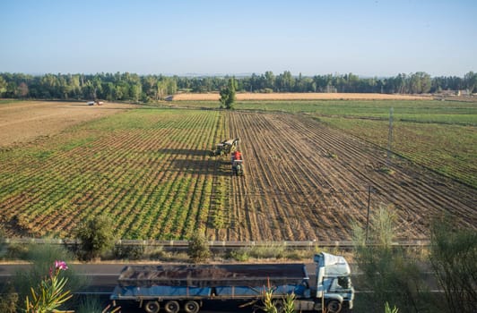 Tomato harvesting works aerial view. Load tomato truck crossing beside