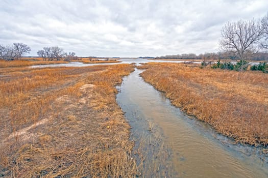 Island in the Platte River in Winter near Kearney, Nebraska