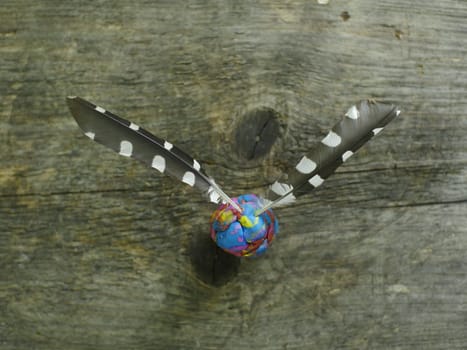 Flight feather black with white spots still life