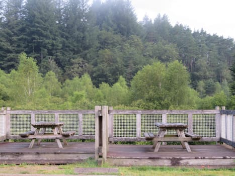 beautiful natural wooden table meringue room picnic field rest
