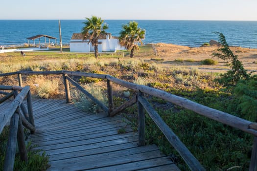 Dunes park of Matalascanas. Costa de la Luz seashore, Huelva, Spain