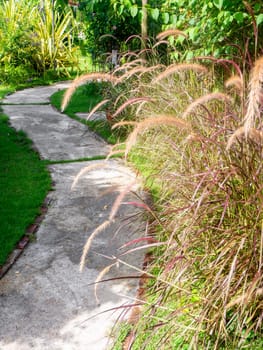 Beautiful pathway in a park in summer, Landscape with scenic winding footpath in sunlight. Stone overgrown path in sunny garden