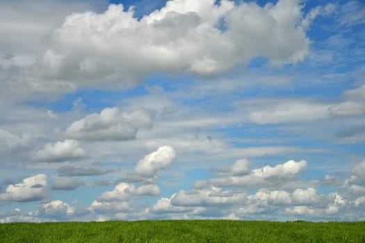 Blue sky with many white clouds and a green meadow in summer