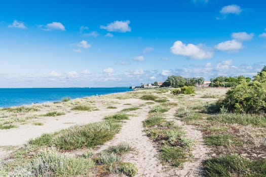 the beach of La Phibie on the island of Oléron, in France under a beautiful blue sky