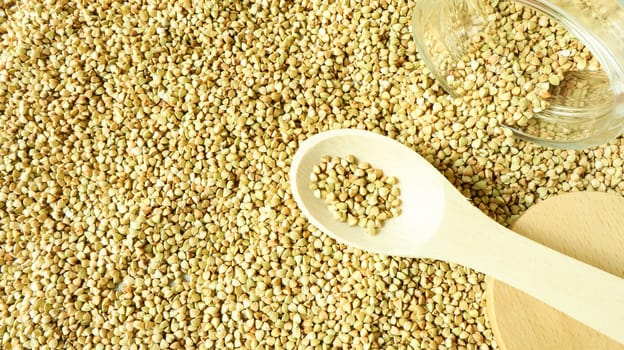 Buckwheat scattered background, raw green cereal in a wooden spoon. Healthy groats. Organic raw non-fried vegetarian food. The concept of a healthy and balanced diet. Diet product. healthy groats