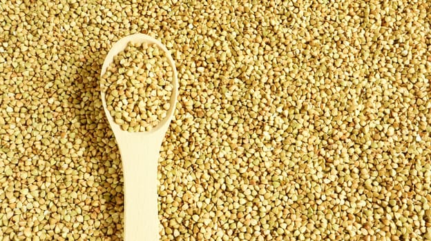 Buckwheat scattered background, raw green cereal in a wooden spoon. Healthy groats. Organic raw non-fried vegetarian food. The concept of a healthy and balanced diet. Diet product. healthy groats