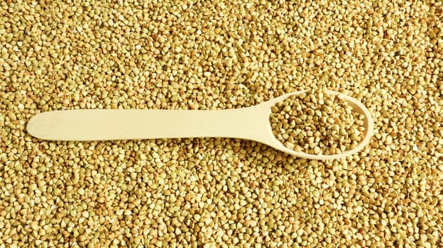 Buckwheat scattered background, raw green cereal in a wooden spoon. Healthy groats. Organic raw non-fried vegetarian food. The concept of a healthy and balanced diet. Diet product. healthy groats