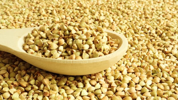 Buckwheat scattered background, raw green cereal in a wooden spoon. Healthy groats. Organic raw non-fried vegetarian food. The concept of a healthy and balanced diet. Diet product. healthy groats