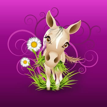Little mare in green grass over purple