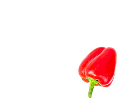 Fruit vegetable red bell pepper on a white background. Place for text. Template. Food photo. Showcase. Advertising. Background image.