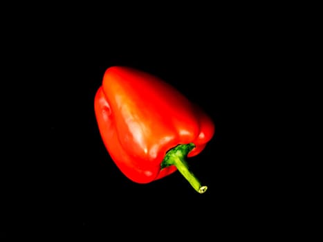 Vegetable red bell pepper on a black background. Food photo. Template for text. The menu of dishes. Place for text. Background image.