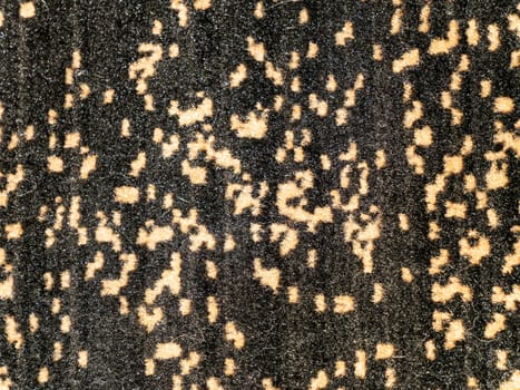 Fabric texture of leopard flowers with place for text. Background image.