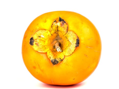 Persimmon fruit on a white background. Harvest. Place for text. Free place.