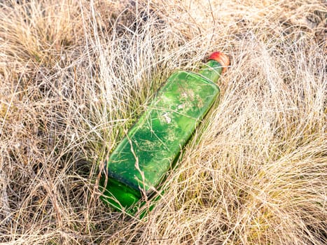 Empty alcohol bottles in the grass on nature. Tourism. Environment. Social problems. Garbage.