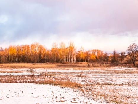 Meadow under snow with a forest on the horizon in winter. Background image. Place for text.