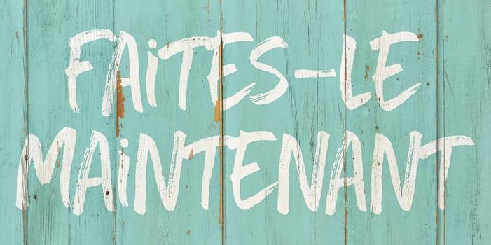 Motivational quote - Do it now in french - Faites-le maintenant