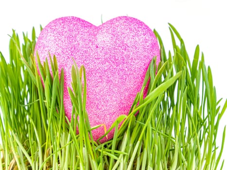 Heart symbol in green grass on a white background. Valentine's Day. Mothers Day. Happy Birthday. Place for text. Background image.