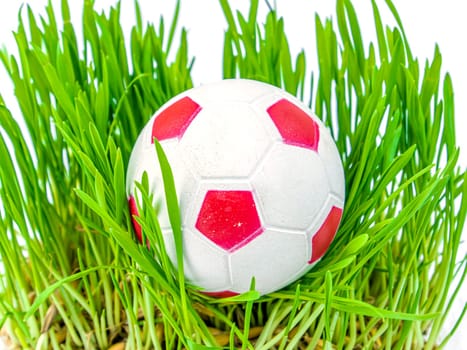 Soccer ball on the green grass of a football field lawn. Sports game. Football. Championship. Europe. Peace. Iesto for the text. Background image. Poster. Template.