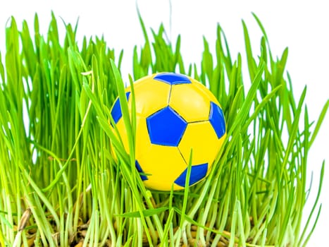Soccer ball on the green grass of a football field lawn. Sports game. Football. Championship. Europe. Peace. Iesto for the text. Background image. Poster. Template.