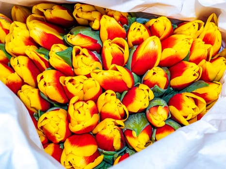 Festive bouquet of flowers of red and yellow tulips for Mother's Day. Mothers Day. Valentine's Day. Birthday. Bridal bouquet. Gift. Place for text. Background image.