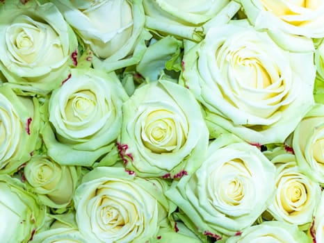 Festive bouquet of garden flowers of a white rose. Mothers Day. Birthday. Bridal bouquet. Day of Remembrance. International Women's Day. Place for text. Background image. Gift.