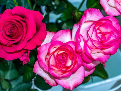 Festive bouquet of garden flowers of a red and pink rose. Mothers Day. Birthday. Bridal bouquet. Day of Remembrance. International Women's Day. Place for text. Background image. Advertising. Gift.