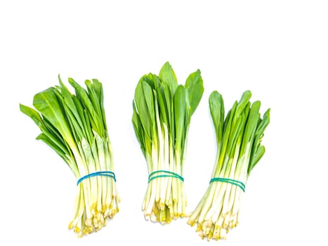 Spring wild garlic leaves on a white background. Place for text. Recipe. Vitamin. Place for text.
