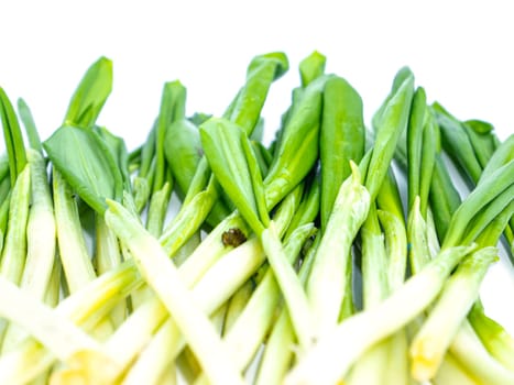 Spring wild garlic leaves on a white background. Place for text. Recipe. Vitamin. Place for text.
