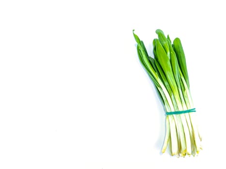 Spring wild garlic leaves on a white background. Place for text. Recipe. Vitamin. Place for text.