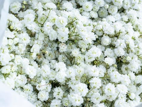 Festive bridal bouquet at a wedding of white flowers. Birthday. Mothers Day. International Women's Day. Valentine's Day. Wedding. Holiday. Place for text. Background image.