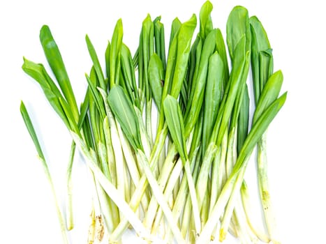 Spring wild garlic leaves on a white background. Place for text. Recipe. Vitamin. Place for text.