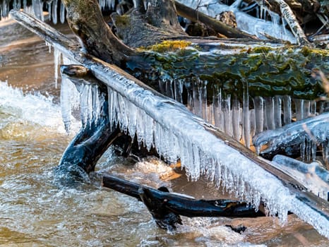 Tree branches in icicles over the water in the river. Natural landscape. Winter. Background image.
