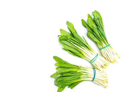 Spring wild garlic leaves on a white background. Place for text. Recipe. Vitamin. Place for text.