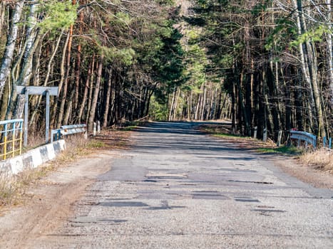 Damaged asphalt road in a pine forest. Industry. Transport. Traffic Place for text. Background image. Ecology. Environment.