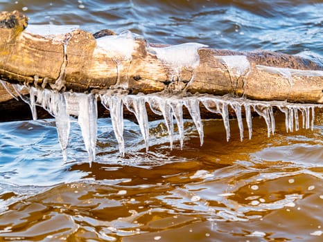 Tree branches in icicles over the water in the river. Natural landscape. Winter. Background image.