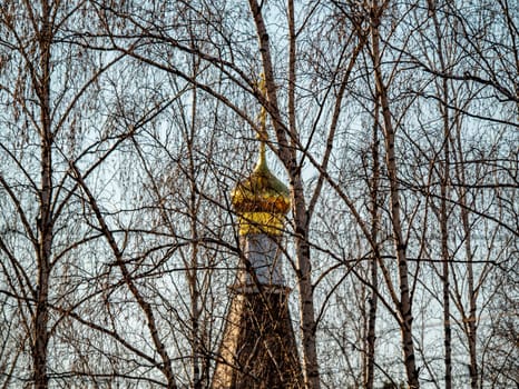 Domes of the temple of the Ukrainian Orthodox Church through the branches of birches. Religion. Easter. Christmas. Place for text.