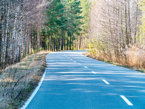 Asphalt road with markings in the forest. Industry. Transport. Traffic Place for text. Background image. Ecology. Environment.