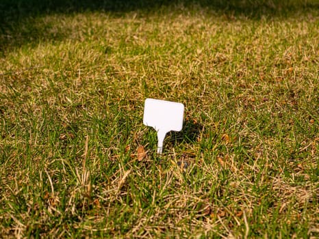 White plate for text on a grass lawn. Background image. Place for text.