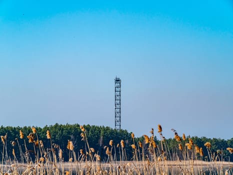 Fire observation tower in the forest against a blue sky. Help. Emergency. Place for text. Background image. Ecology. Environment.