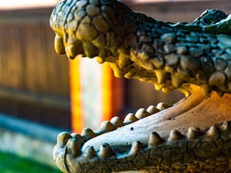 Open toothy mouth of a wild animal crocodile. Animals in the wild. Dinosaur. Place for text. Background image.