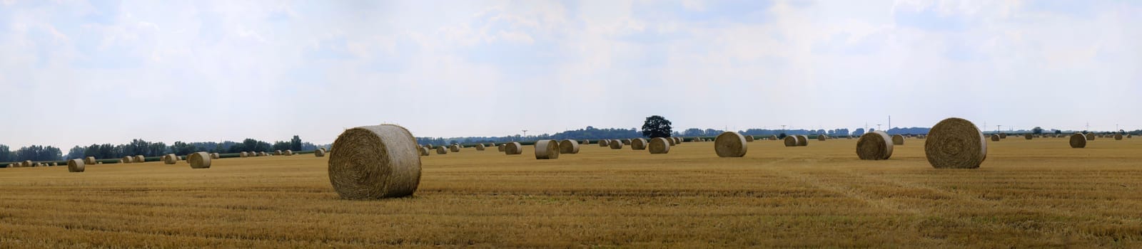 Round rolls of straw lie around on a harvested grain field.
